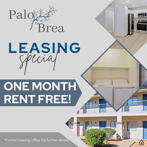 Phoenix apartment for rent - A leasing special for Palo Brea offers one month rent free.