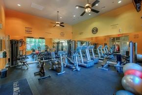 Phoenix apartment for rent - a gym with cardio equipment and weights on the floor