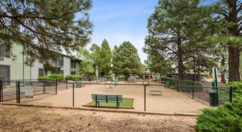 Dog park