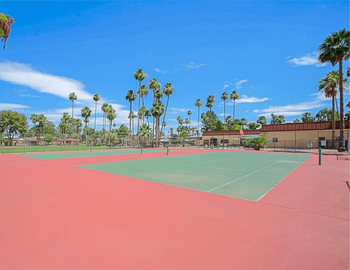 Friendly basketball court