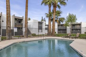 Mesa apartment for rent - A pool surrounded by palm trees and lounge chairs.