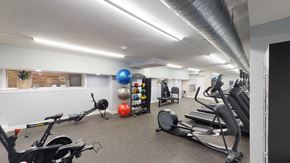 Washington apartment for rent - fitness center with exercise balls, and cardio machines at 2800 woodley apartments in washington dc