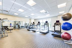 Washington apartment for rent - fitness center with exercise balls, cardio machines and large windows at archer park apartments in southeast Washington dc