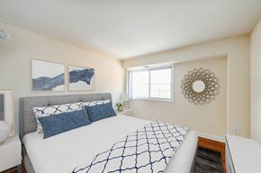 Washington apartment for rent - bedroom with bed, nightstand, hardwood flooring and window at naylor overlook apartments in washington dc