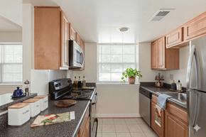 Washington apartment for rent - A kitchen with wooden cabinets and a black stove top oven.