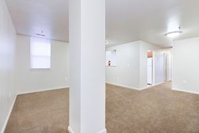 Washington apartment for rent - vacant living area with plush carpeting, windows and view of kitchen at whitelaw apartments in washington dc