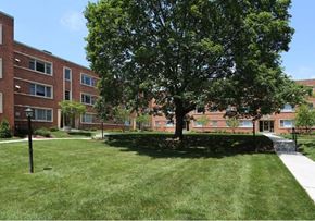 Bethesda apartment for rent - A tree in a grassy area in front of an apartment building in bethesda, md