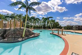Washington apartment for rent - A palm tree stands next to a pool with a rocky outcrop.