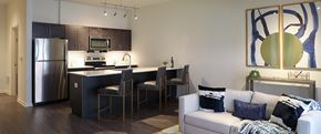 Owings Mills apartment for rent - Met Living Room