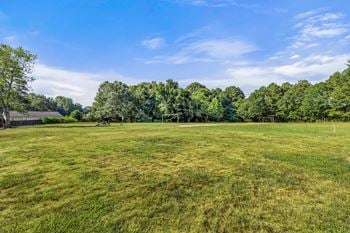 Soccer field