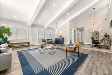 Smyrna apartment for rent - A living room with a grey rug and a grey couch.