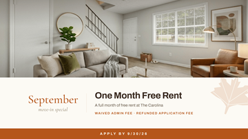 Lawrenceville apartment for rent - The Carolina
