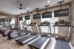 Chattanooga apartment for rent - A gym with treadmills and exercise bikes from Chestnut brand.