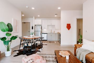 Denver apartment for rent - A living room with a dining table and chairs, a couch, and a potted plant.