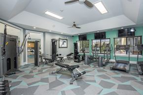 Lakewood apartment for rent - A gym with a variety of equipment including treadmills, weights, and a squat rack.