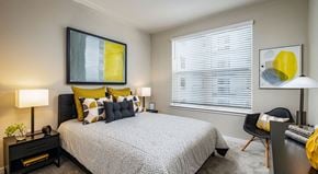 Tampa apartment for rent - a bedroom with a bed and a large window