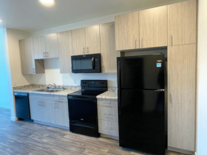 Colorado Springs apartment for rent - A black refrigerator is in a kitchen with a black stove and black dishwasher.