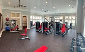 Gallatin apartment for rent - A spacious gym with a variety of equipment including weights, machines, and a red mat.