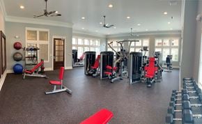 Gallatin apartment for rent - A spacious gym with a variety of equipment including weights, machines, and a red mat.