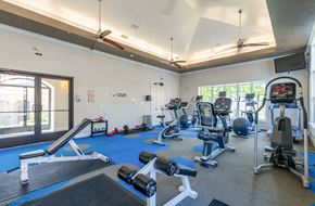 Colorado Springs apartment for rent - a gym with cardio equipment and weights at the belgard apartments