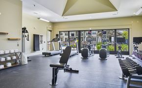 Overland Park apartment for rent - A gym with a variety of equipment including treadmills, weights, and exercise machines.