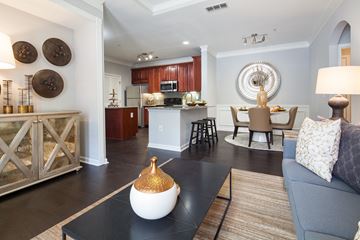 Lawrenceville apartment for rent - A modern living room with a black coffee table and a blue couch.