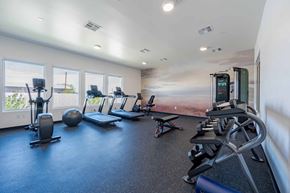 Phoenix apartment for rent - A gym with a variety of equipment including treadmills, weights, and exercise balls.