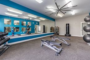 Denver apartment for rent - a gym with weights and mirrors and a blue wall