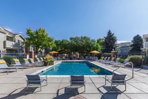 Littleton apartment for rent - A pool surrounded by chairs and umbrellas with buildings in the background.
