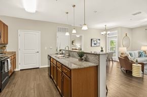 Hendersonville apartment for rent - A kitchen with wooden cabinets and a granite countertop.