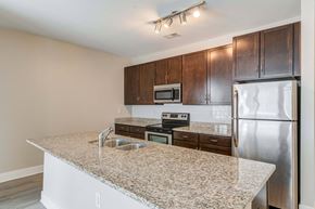 Virginia Beach apartment for rent - Kitchen