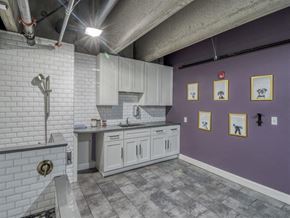 St Louis apartment for rent - Pet Statjon