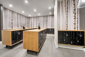 Kennesaw apartment for rent - A kitchen with black cabinets and wooden countertops.