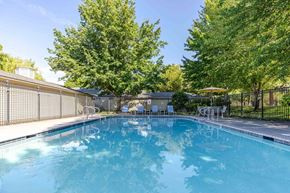 Vancouver apartment for rent - A large outdoor swimming pool surrounded by trees and a fence.