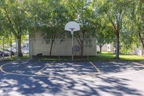Vancouver apartment for rent - A basketball court surrounded by trees and a fence.
