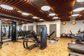 Castle Rock apartment for rent - A gym with a variety of equipment including treadmills, weights, and exercise balls.