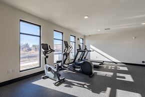 Aurora apartment for rent - A spacious gym with treadmills, elliptical machines, and a large window.