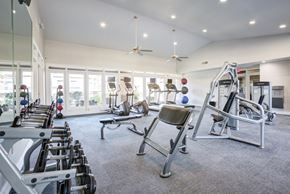 Tuscon apartment for rent - A gym with a variety of equipment including treadmills, weights, and exercise balls.