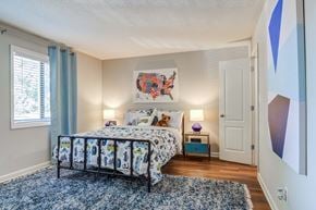 Sandy Springs apartment for rent - Bedroom