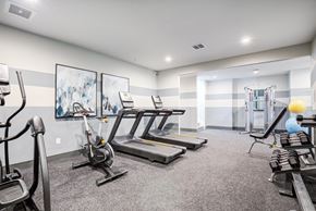 Marlboro apartment for rent - the gym with treadmills and cardio equipment