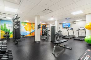 Denver apartment for rent - A gym with a punching bag, weights, and exercise equipment.