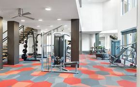 Overland Park apartment for rent - A gym with a variety of equipment including a weight bench, a squat rack, and a treadmill.