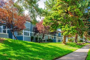 Reno apartment for rent - A tree with red leaves is in front of a blue building.