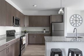 Charlotte apartment for rent - A modern kitchen with dark wood cabinets and stainless steel appliances.
