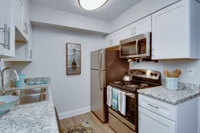 Nashville apartment for rent - Contemporary Kitchens with Newly Updated Cabinets at Nob Hill Apartments, Nashville, TN