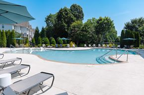 Murfreesboro apartment for rent - A swimming pool surrounded by trees and lounge chairs.