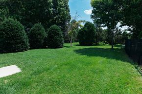 Murfreesboro apartment for rent - A lush green lawn with trees and a fence.