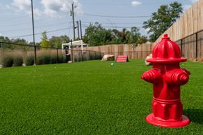 Hunstville apartment for rent - A red fire hydrant stands on a green lawn.