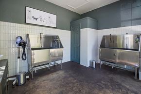 Bowling Green apartment for rent - a kitchen with two large stainless steel sinks and a blue door