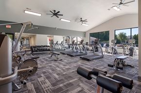 Bowling Green apartment for rent - a large fitness room with cardio equipment and windows